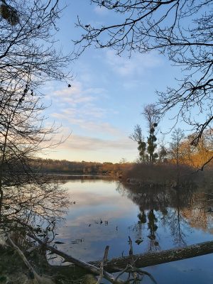 Circuit attelages du plan d’eau à Loudon – Parigné-l’Évêque