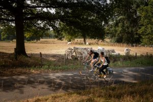 LA VÉLOBUISSONNIÈRE : NOYEN S/SARTHE < > LA FLÈCHE