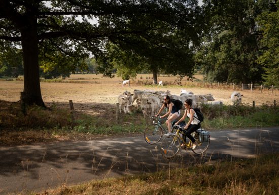 La Vélobuissonnière : La Suze-sur-Sarthe < > Noyen-sur-Sarthe