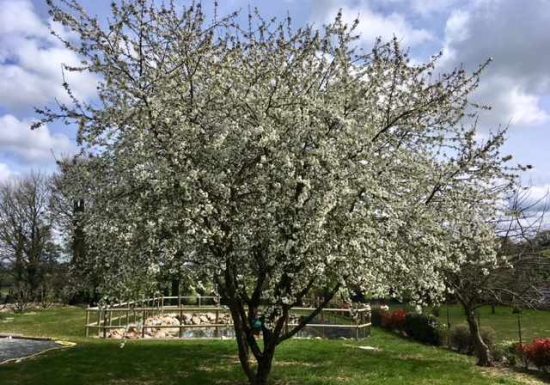CHAMBRES D’HOTES CHEZ NADINE ET PHILIPPE