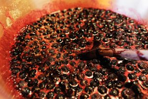 Culture de petits fruits rouges