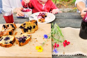 Culture de petits fruits rouges