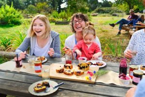 Culture de petits fruits rouges