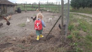 Ferme pédagogique d’animation du Long Réage