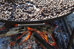 Fête de la pomme et des saveurs d’automne