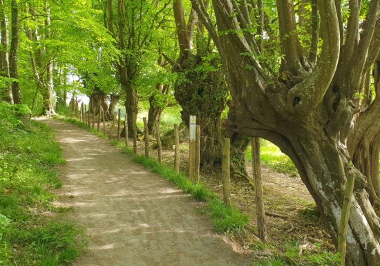 AUTOUR DU BOULEVARD NATURE : ROUILLON LE CIRCUIT DES VIGNES