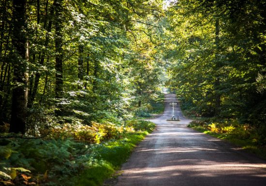 La Ronde des Vallées et Forêts