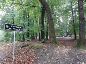 CIRCUIT CYCLOTOURISTIQUE – MAMERS ET LA FORÊT DE PERSEIGNE