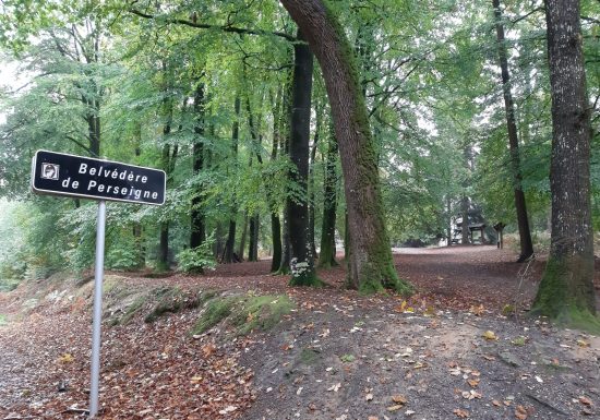 CIRCUIT CYCLOTOURISTIQUE – MAMERS ET LA FORÊT DE PERSEIGNE