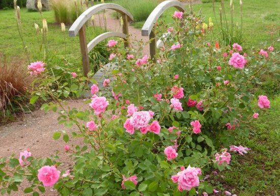 Boucle villageoise des vallées