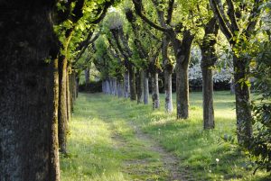 Eco-Gîte du Domaine de la Gavolerie