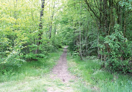 Circuit de Brette à Parigné – Brette-les-Pins