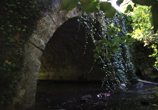 Circuit de la Gardonnière – Challes