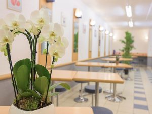 Ibis Budget Le Mans Centre