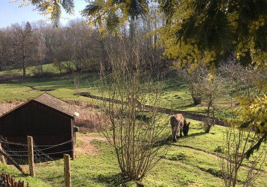 LES TERRASSES DE CHANTAREL