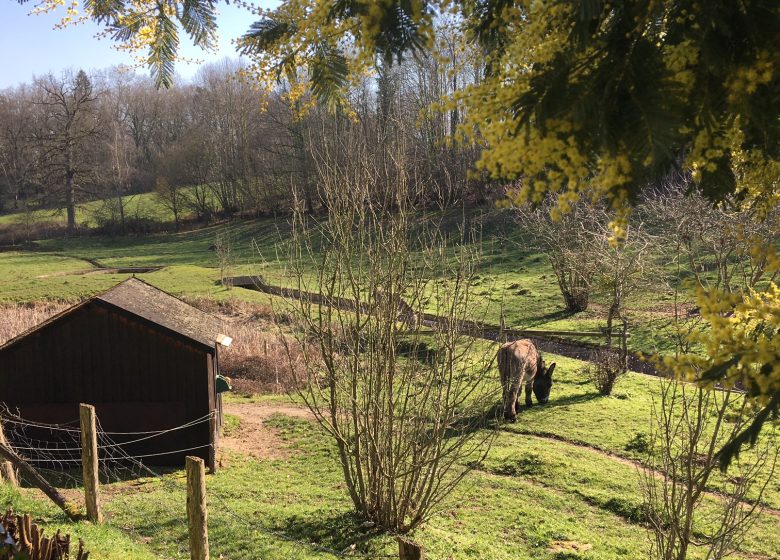 LES TERRASSES DE CHANTAREL