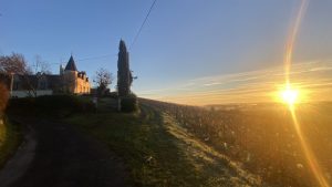 Domaine Lainault