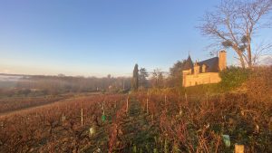 Domaine Lainault
