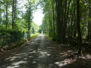 Circuit Le Joncheray