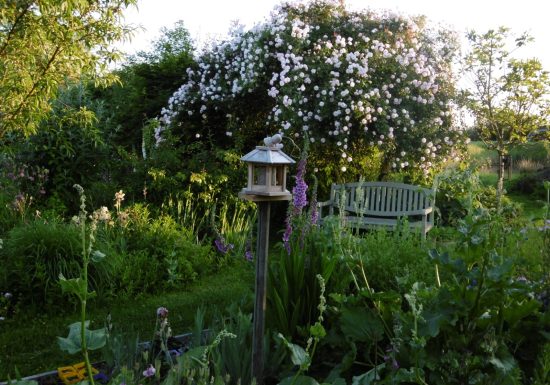Le Jardin de Jane