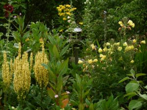 Le Jardin de Jane