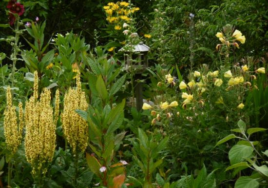 Le Jardin de Jane