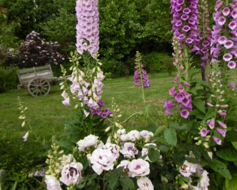 Le Jardin de Jane