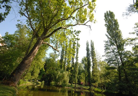 Jardin des Plantes ou Jardin d’Horticulture du Mans