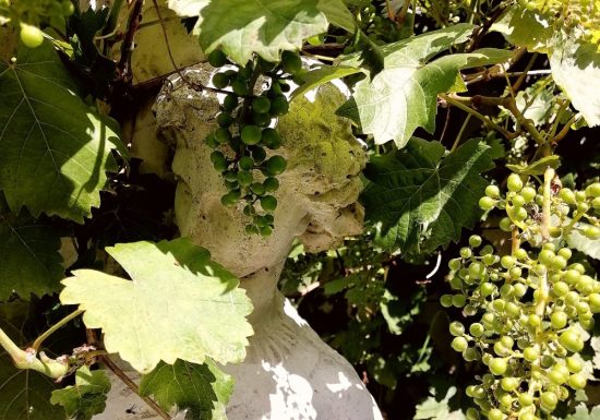 CLOS SUR LOIR COTTAGE – JARDIN RENARD