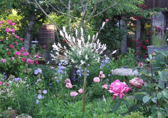 Le Jardin de Poésies