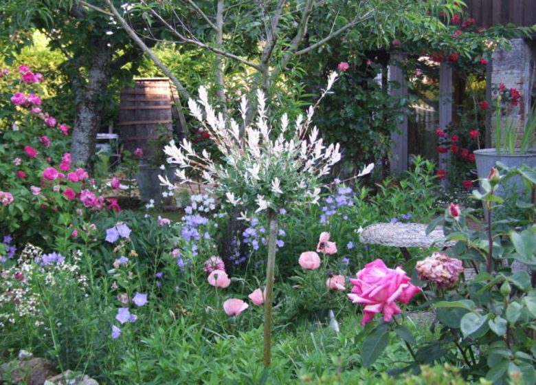 Le Jardin de Poésies