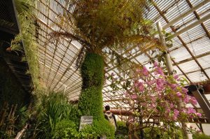 Jardin des Plantes ou Jardin d’Horticulture du Mans