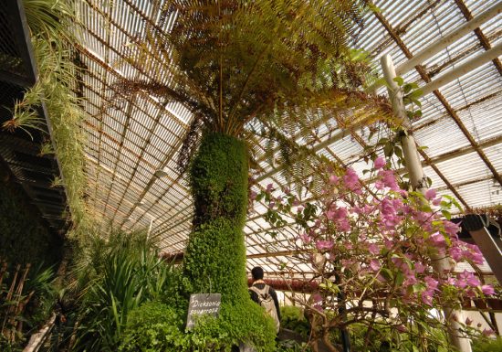 Jardin des Plantes ou Jardin d’Horticulture du Mans