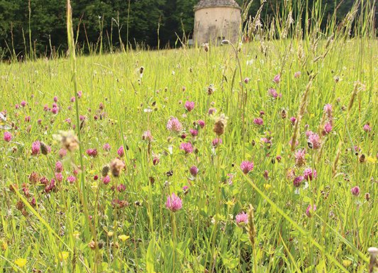 Circuit À la découverte de Parigné – Parigné-l’Évêque