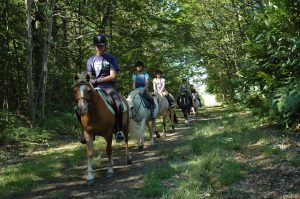 PONEY CLUB ATOUCRIN