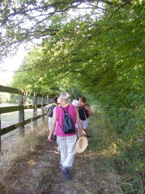 N°1 : Côté chemin, côté jardin