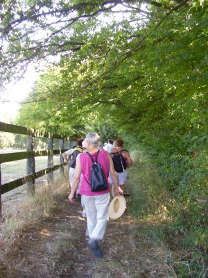 CIRCUIT N°1 : CÔTÉ CHEMIN CÔTÉ JARDIN – BONNÉTABLE