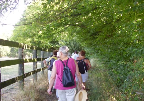 N°1 : Côté chemin, côté jardin