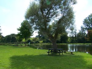 Saint-Paul-le-Gaultier fishing pond