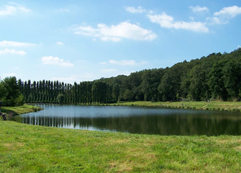 Saint-Georges-le-Gaultier fishing pond