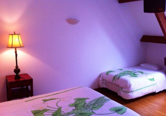 HÔTEL – LA TOUR DES PLANTES