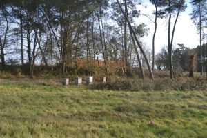 Ferme pédagogique d’animation du Long Réage