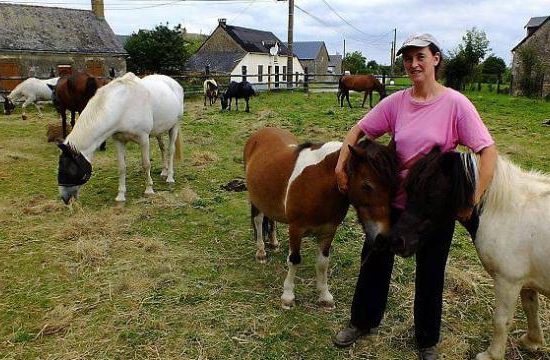 Equitation – Haras de la petite Boëlle