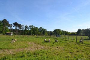 Ferme pédagogique d’animation du Long Réage
