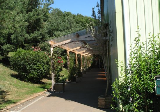 Club des Cèdres – Badminton/squash/tennis/foot 5×5/Studio Manawa