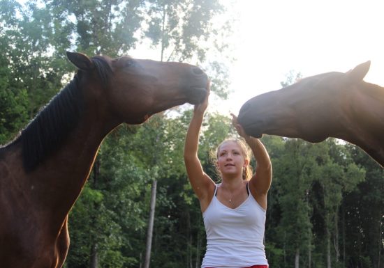 Écurie/élevage des Rosiers