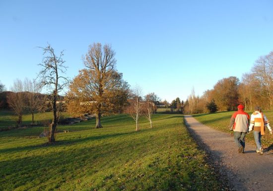 BOUCLE – CIRCUIT DE VAUJOUBERT – ROUILLON