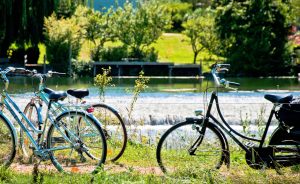 Location de vélos au camping de la Route d’Or