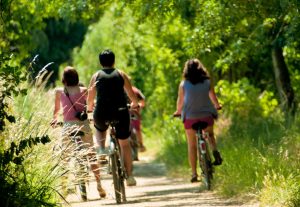 Location de vélos au camping de la Route d’Or