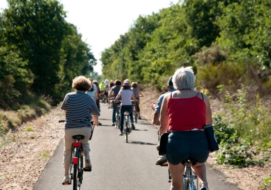 Location de vélos au camping de la Route d’Or